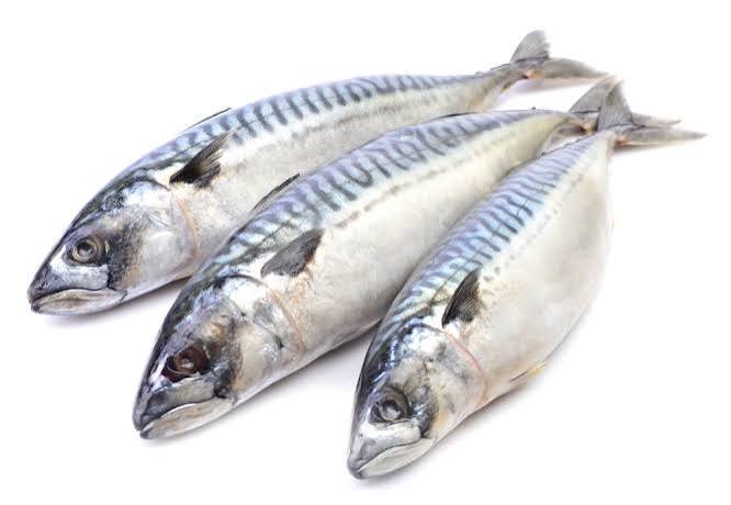 Poisson Maquereau-1 kg